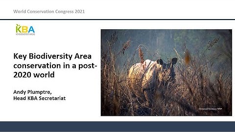 Key Biodiversity Area Conservation in a Post 2020 World