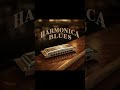 Midnight Train Rush #harmonicablues #bluesharmonica