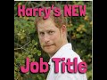 Harrys NEW Job Title 🤣🤣