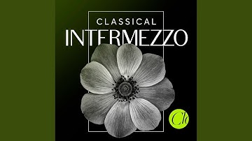 I Gioielli della Madonna, Act II: Intermezzo