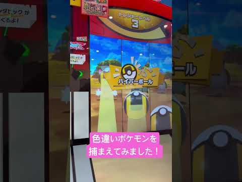色違いポケモンを捕まえてみました #ギグルス #ポケモン #ポケカ
