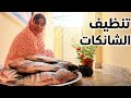 نظفت السمجات بالطارمه براحتي ماكو بزازين وغسلت الطارمه بث زينب بت الديوانيه