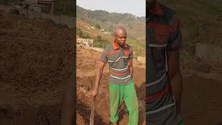 Inspire insights   I had an interview with Gi- farm Agric Production 