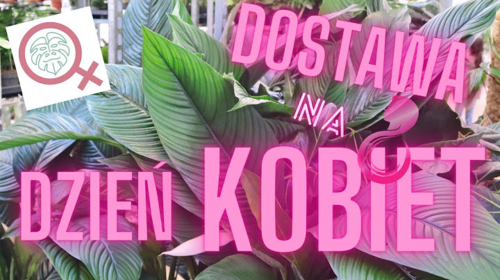 Wielka dostawa roślin od Jungle Boogie na Dzień Kobiet.