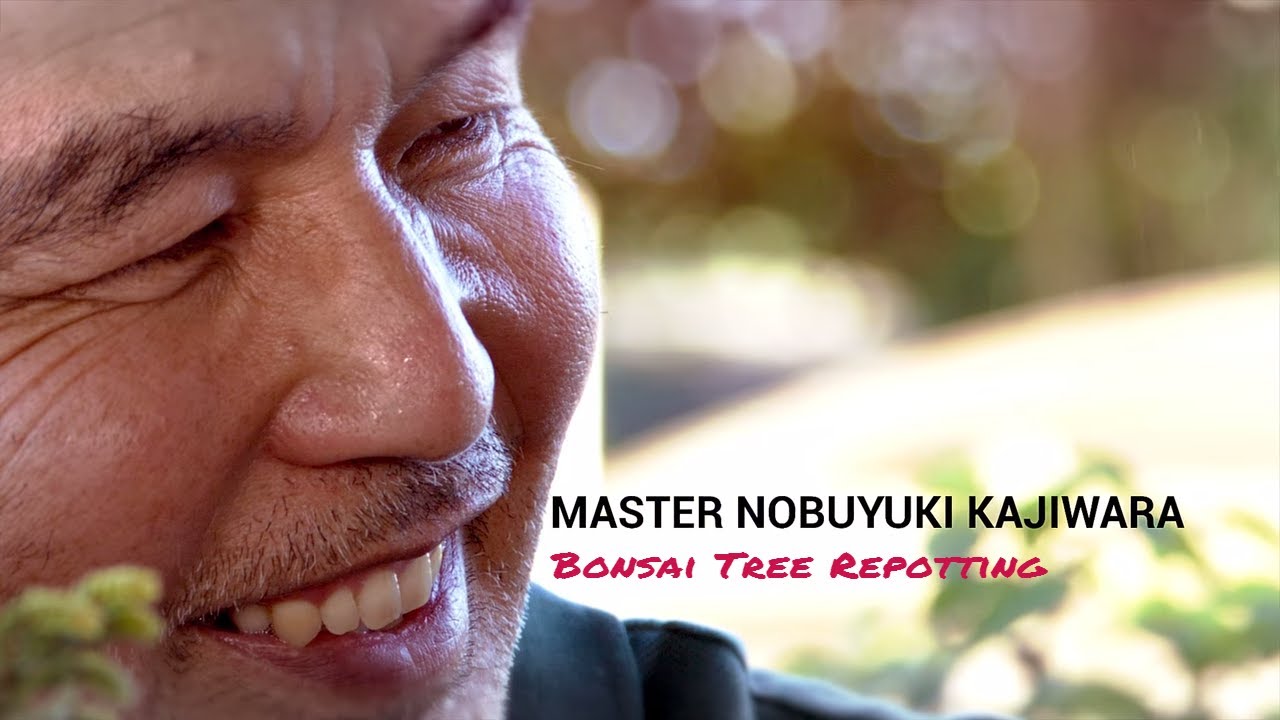 Bonsai Masterclass - Stress free Bonsai Repotting With Master Nobu Kajiwara #171