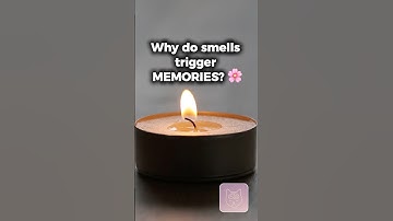 Why Smells Trigger Vivid Memories 🌸 #facts #motivation #brainfacts #didyouknow #psychology