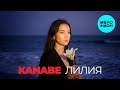 KANABE Лилия Single 2026