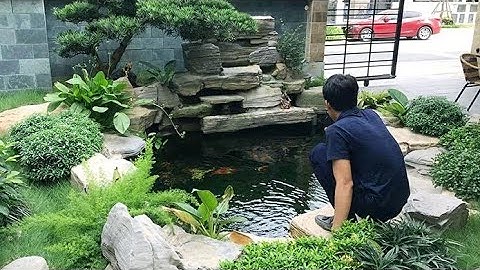 Drum ,lọc hồ cá,lọc hồ koi,máy tách phân