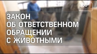 Госдума рассмотрит законопроект о защите животных Госдума рассмотрит законопроект о защите животных