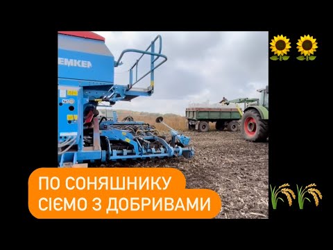Посів пшениці по