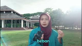 Tugas Ujian Akhir Semester Genap Psikologi Sosial Keagamaan dengan judul Afeksi Sosial 