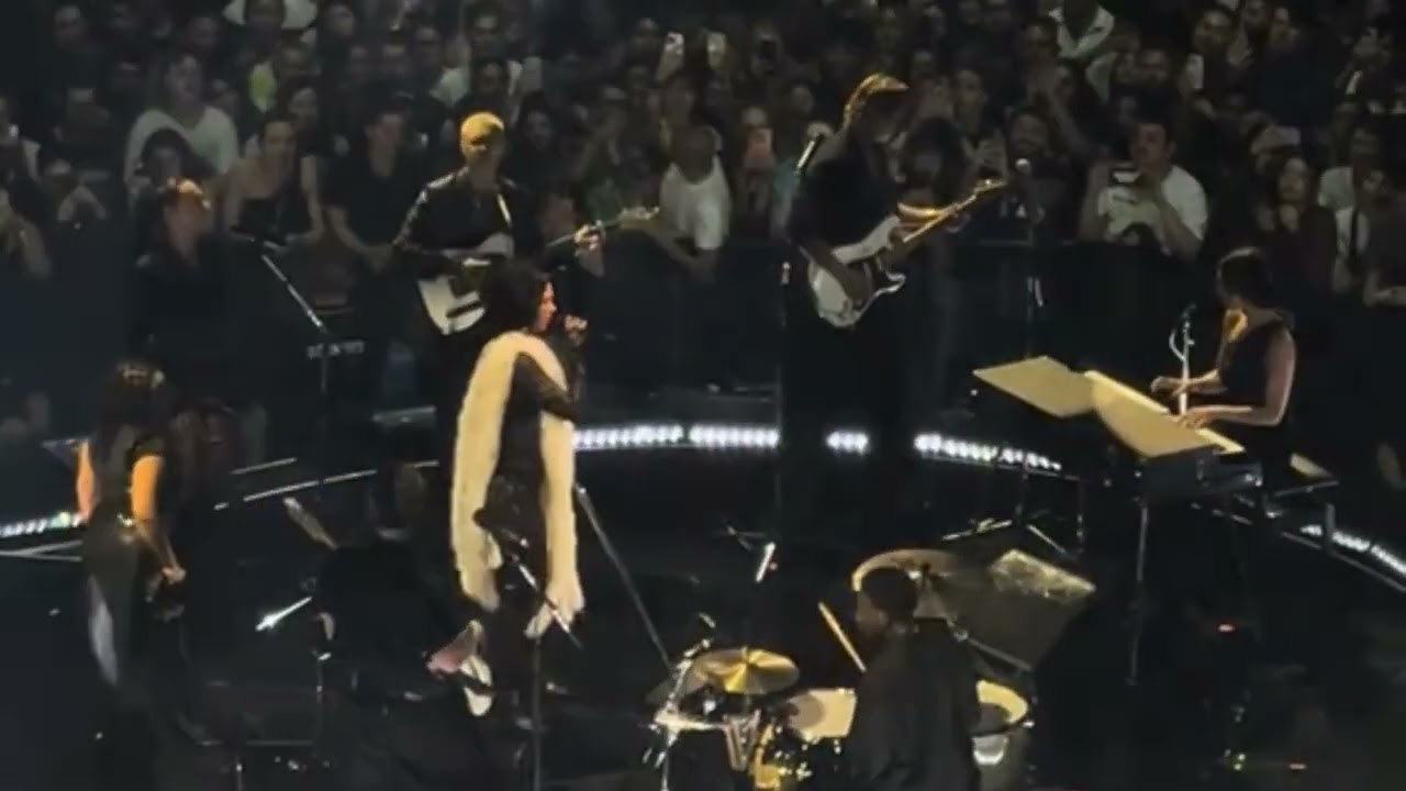 Dua Lipa - Never Tear Us Apart (Live Radical Optimism Tour) Sydney