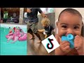 The Cutest Toddlers and Infants TikTok Compilation