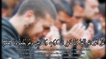 آيات قصيرة || ياسر الدوسري من سورة الانعام || حالات الواتساب