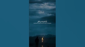 إسلام صبحي | سورة النمل#اسلام_صبحي #سورة_النمل #قرآن #قرآن #قرآن_کریم #القرآن #القرآن #القرآن_الكريم