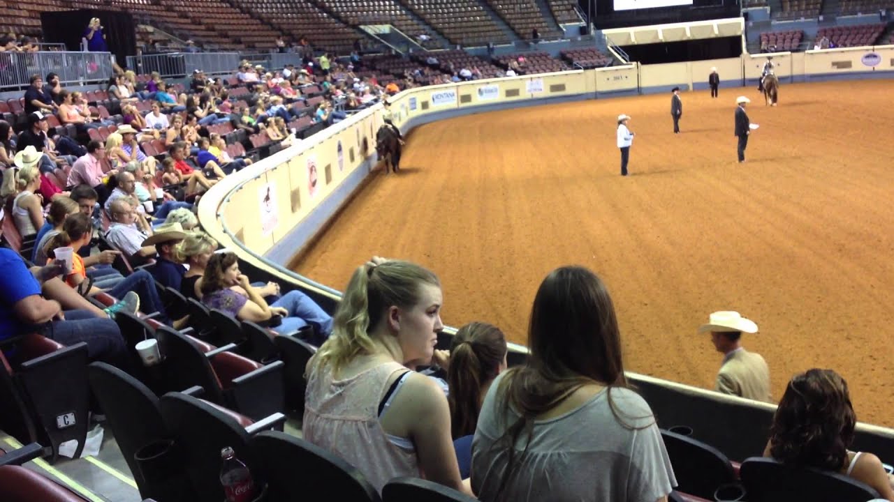 Fancy Dandy Chip Western Pleasure 2013 AQHA Youth World (For Sale