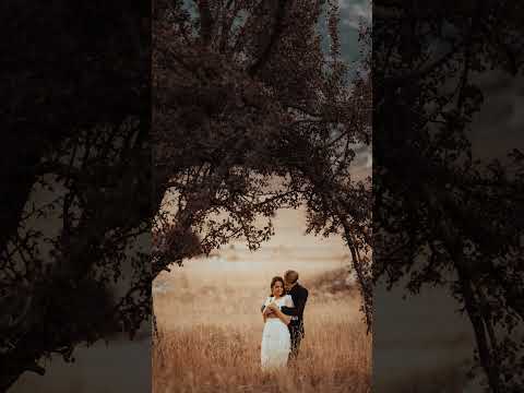 Stand By Your Man Tammy Wynette 