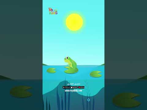 ما هي البرمائيات