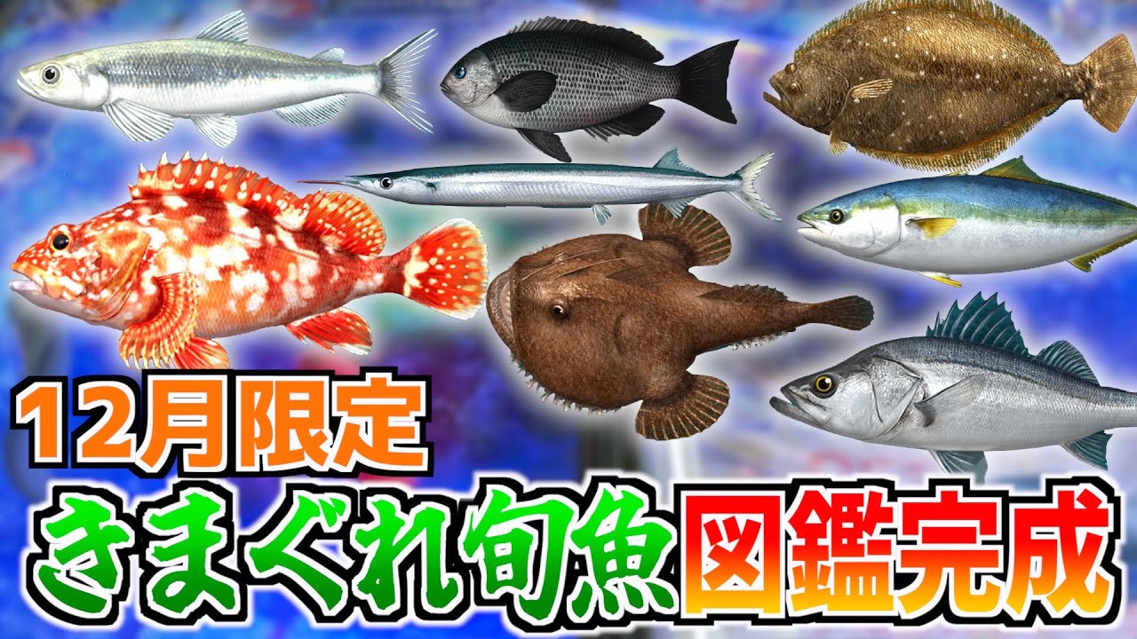 全部 の 魚 | 魚図鑑 一覧 – Pebble Maths