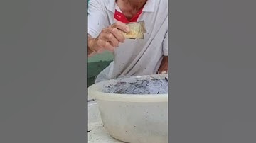 lưới cá rô biển #shorts#chủ_nhật.4.7_fishing#sanbat