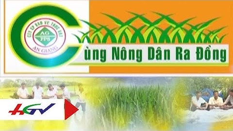 Chăm sóc, phục hồi vườn cây ăn trái trong mùa mưa bão | HGTV