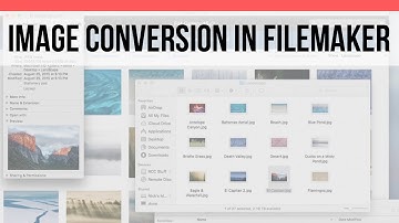 Image Conversion in FileMaker | FileMaker Pro 15 Videos | FileMaker 15 Training