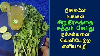சறநரகதத சததம சயத நசசககள வளயறறவத எபபட? Kidney Clean Juice