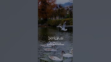 Surah Al-Mulk (Quran 67:19) (سورة الملك) - Abdurrahman As-Sudais (عبدالرحمن السديس)