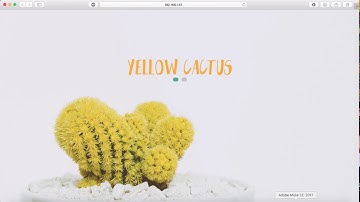 Create Adobe Muse full screen website with animated text