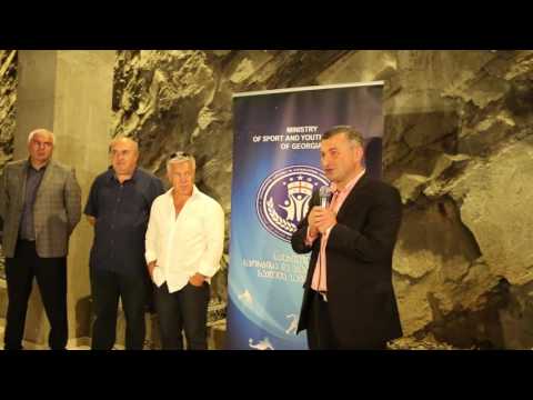 უფროს \u0026 უმცროს ბორჯღალოსანთა შეხვედრა სპორტის მინისტრთან