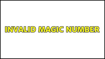 invalid magic number