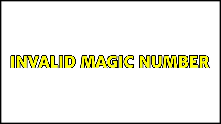 invalid magic number