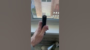 Tasing Bugs: Bug Taser