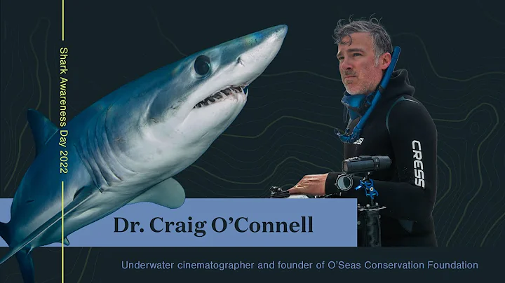 Shark Awareness Day 2022 - Meet the Shark Doctor D...