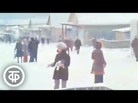Новые посёлки БАМа. Перепись населения. Время. Эфир 21 января 1979 (Начало без звука)