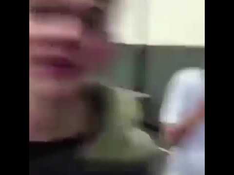 Https Encrypted Tbn0 Gstatic Com Images Q Tbn 3aand9gcsyyl5fzhbfrmv1g4uihpowjkxtyx9qqrb6rw Usqp Cau