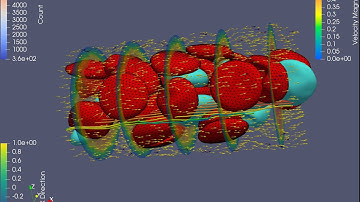 ParaView Blood Flow Data Animation