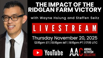 Lawyers Wayne Hsiung and Steffen Seitz Discuss the Historic Victory for Beagles