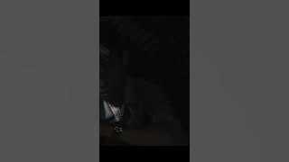 For Revenge - Serana (Cover) #shorts