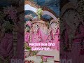 hara krishan hara krishan... 🌸 #radhekrishna #vrindavan #krishnaleela #rasleela #krishnadanc#sorts