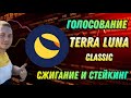 TERRA LUNA CLASSIC ГОЛОСОВАНИЕ ЗА СЖИГАНИЕ И СТЕЙКИНГ LUNC | КРИПТОВАЛЮТА БИТКОИН BTC BINANCE