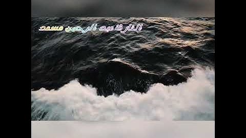 مجموعة من تلاوات القارئ المبدع عبد الرحمن مسعد 💖