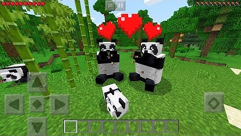 How To Breed PANDA