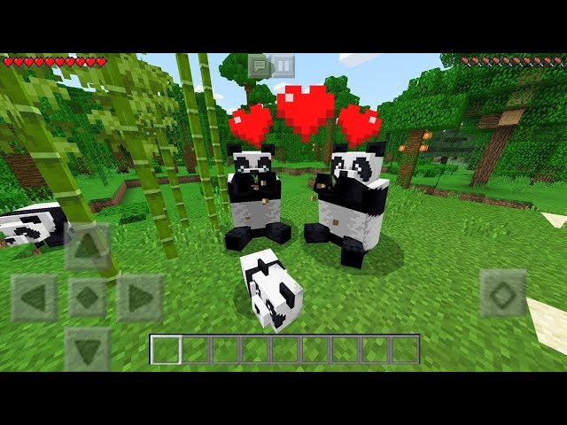 how to make pandas breed in Minecraft Rules of Gaming