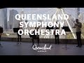 Live performance from the queensland symphony orchestra