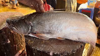 Amazing Big Boal Fish Cutting Skills Live In Fish Market | Fish Cutting Experts