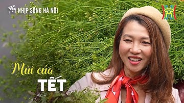 Mùi của Tết | Nhịp sống Hà Nội