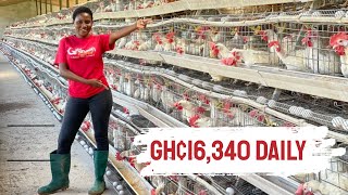 Make 16,340k On Daily Basis From Battery Cage System Of Poultry Farming| Make Millions In 2023