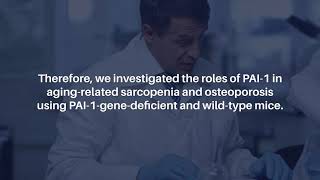 Pai-1S Role In Age-Related Muscle And Bone Loss In Mice Aging-Us