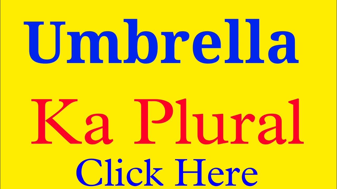 Umbrella ka plural Umbrella plural Umbrella plural form plural